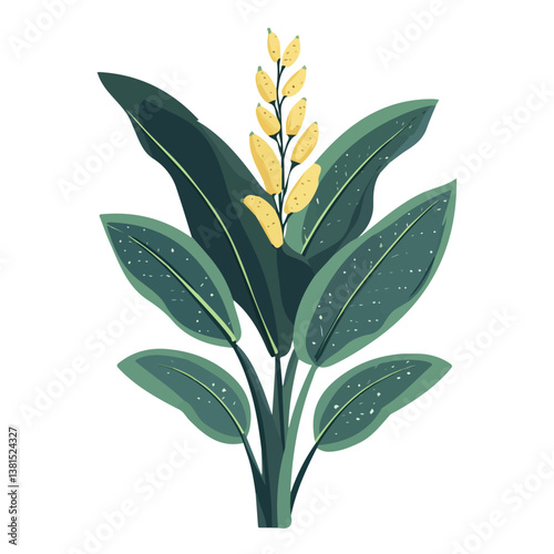 2D flat vector illustration of Plantain, isolated on a white background.