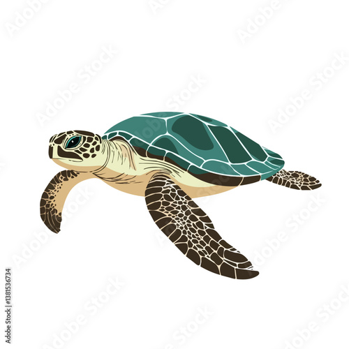 2D flat vector illustration of A Tropical Sea Turtle Swimming Gracefully, isolated on a white background.