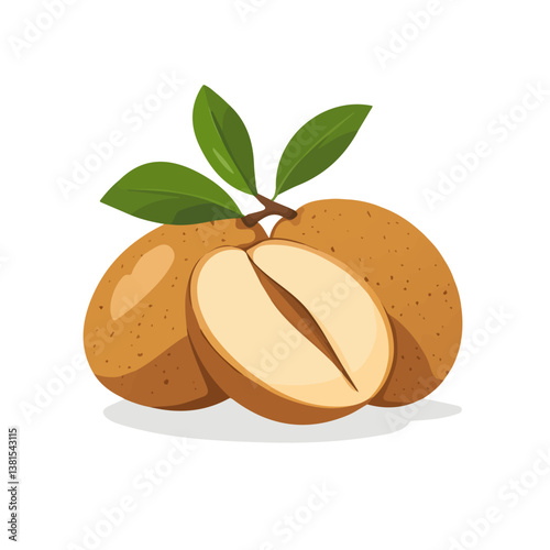 2D flat vector illustration of Sapodilla, isolated on a white background.