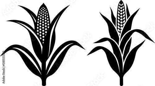 Corn plant solid icon vector art, Vector of growing corn with leaves of vegetable silhouette design