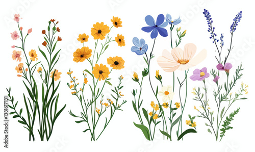 Colorful Wild Meadow Flowers Vector Illustration in Flat Minimalist Style