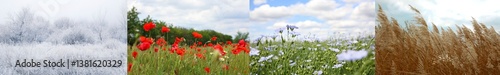 Four seasons of year. Collage with pictures of nature in winter, summer, fall and spring