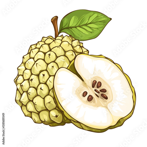Custard apple half minimalist flat illustration, featuring a clean design isolated on a white background.

