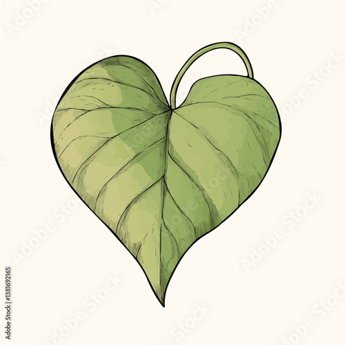 Hoya heart leaf minimalist flat illustration, featuring a clean design isolated on a white background.

