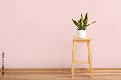 Green houseplant on stool n...