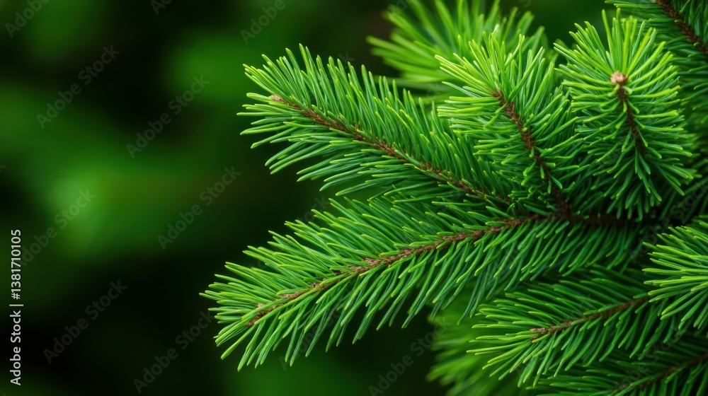 Lush Evergreen Pine Needle Close-Up on a Natural Background Capturing the Beauty of Nature's Greenery Lush Evergreen Pine Needle Close-Up on a Natural Background Capturing the Beauty of Nature's Greenery