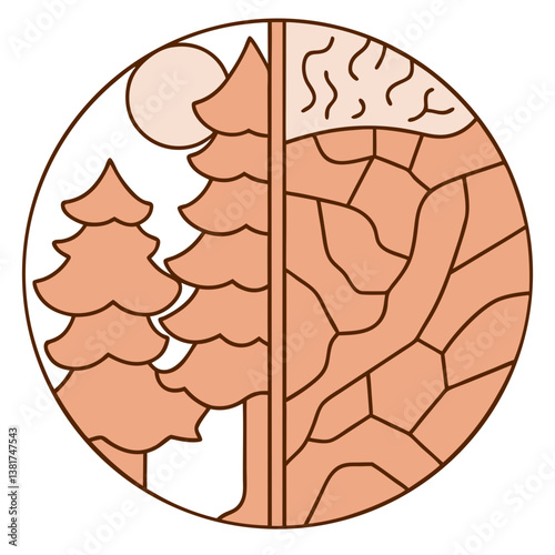Forest and dried cracked land split in half illustration