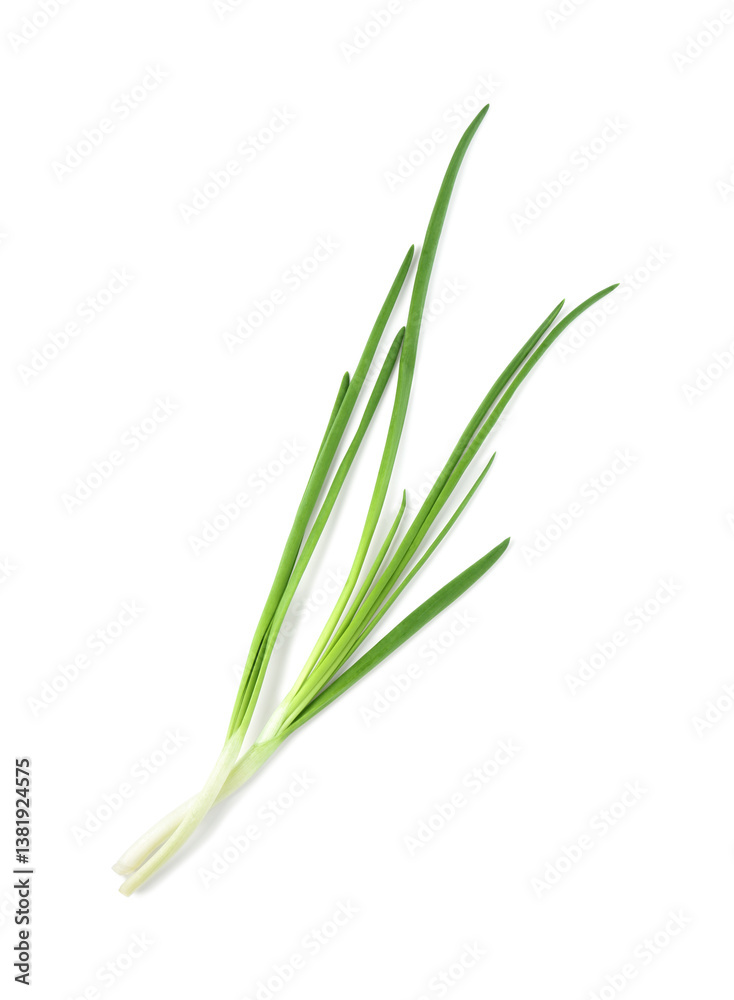 Fresh green onions isolated on white, top view Fresh green onions isolated on white, top view