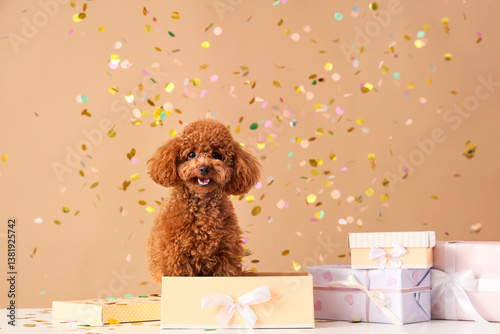 Canvas Print Cute Toy Poodle dog with gift boxes and confetti on brown background