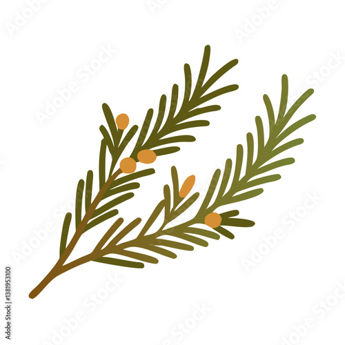 Rosemary Sprig Illustration, Culinary Herb