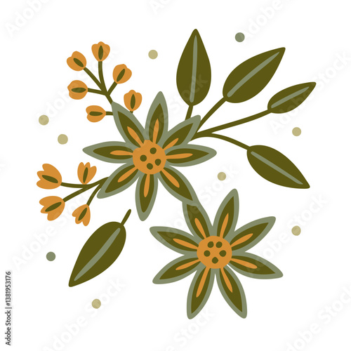 Star Anise Floral Illustration with Berries