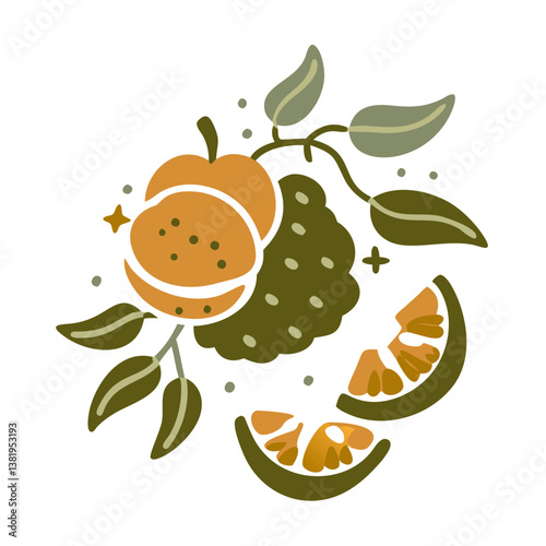 Tangerine Citrus Reticulata Peel Vector Illustration