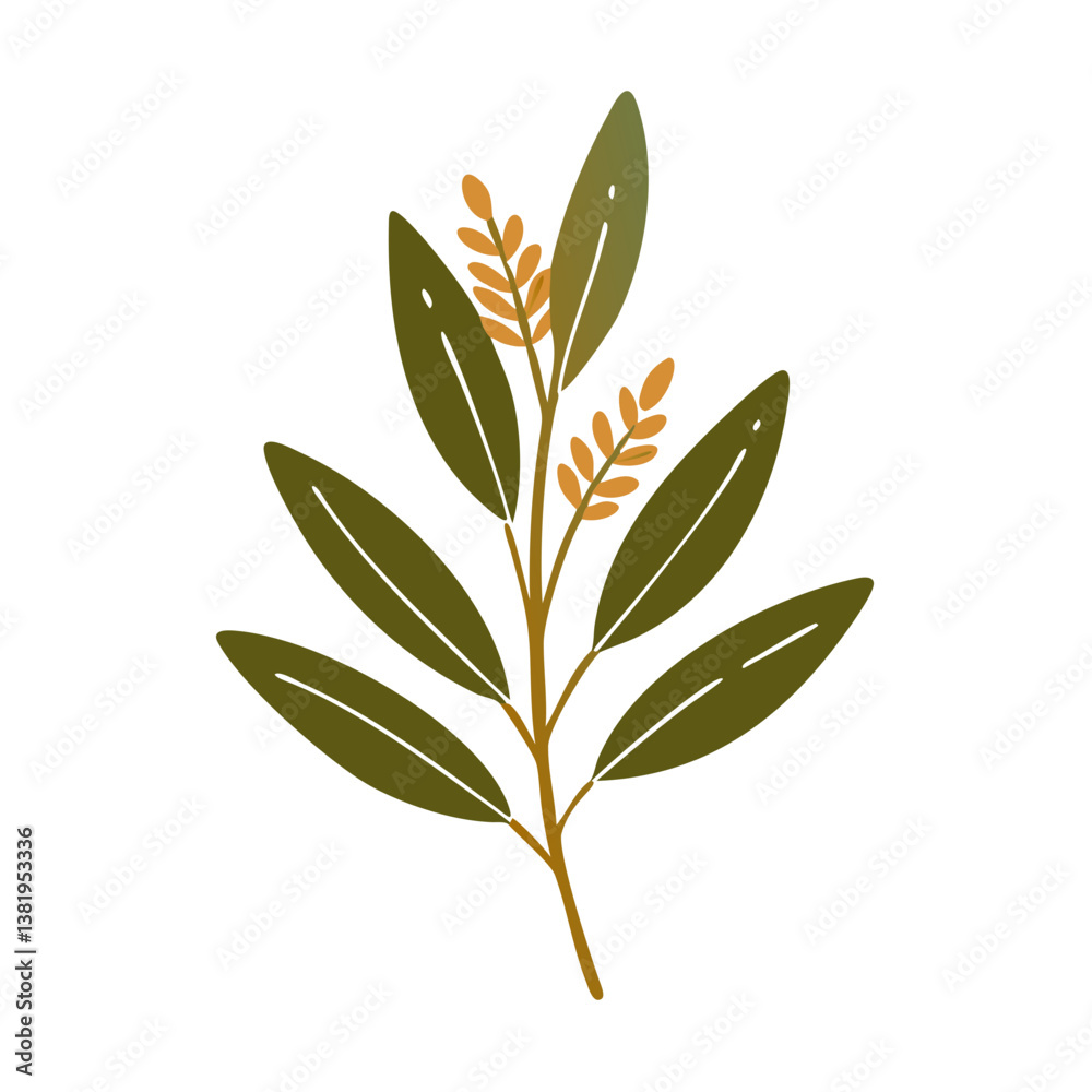Naklejka premium White Sage Salvia Apiana Leaf Illustration