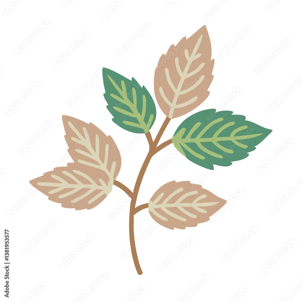 Obraz premium Stylized Mentha Arvensis Branch Illustration