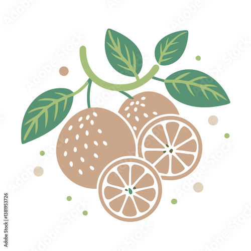 Minimalist Mandarin Orange Branch Illustration