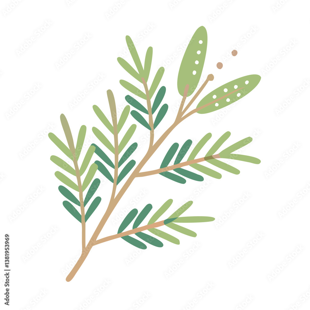 Fototapeta premium Kunzea Ambigua Branch Illustration, Minimalist Style