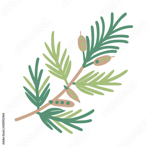 Kanuka Branch Illustration with Leaves and Seed Pods