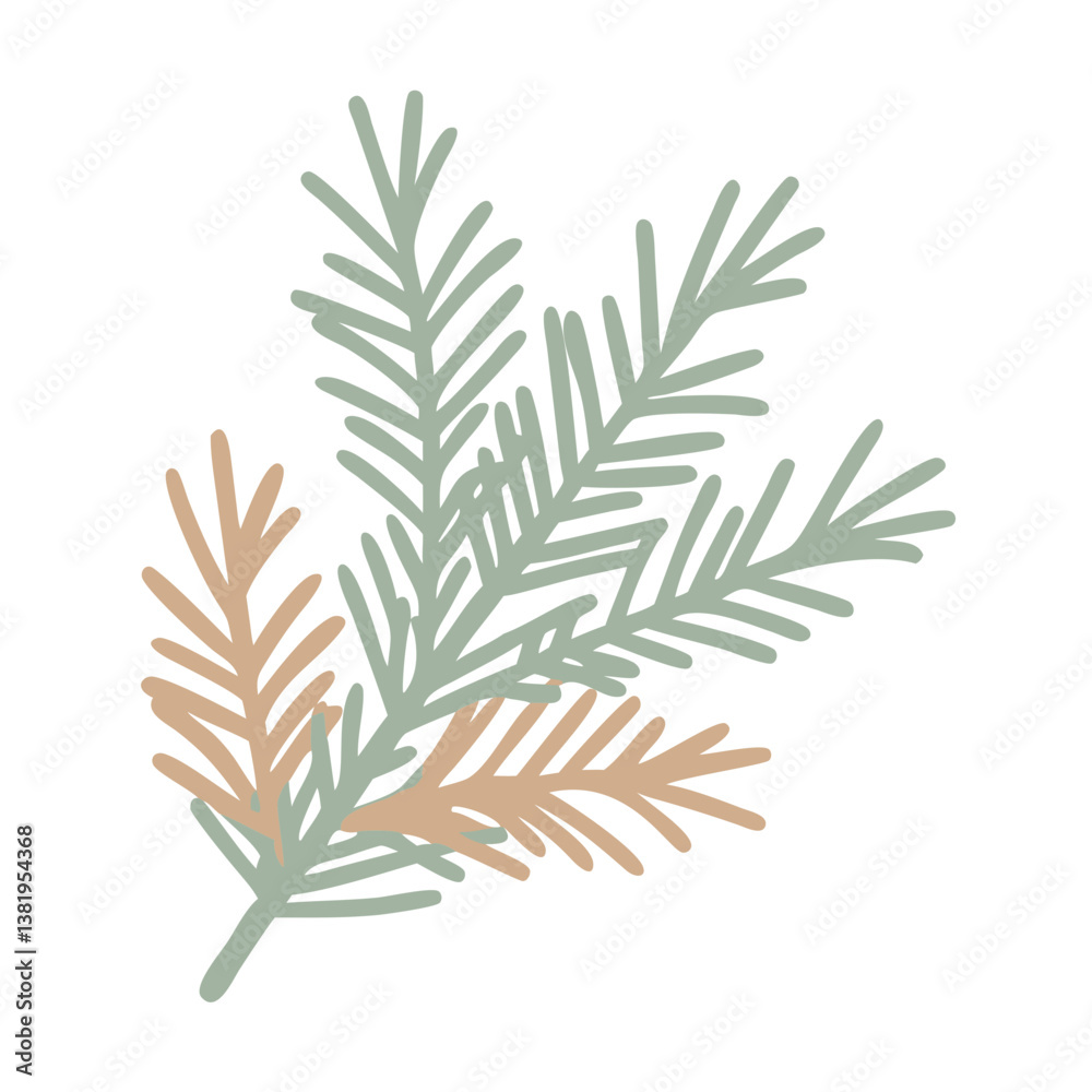 Minimalist Balsam Fir Branch Illustration Minimalist Balsam Fir Branch Illustration