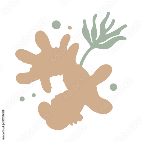 Abstract Ginger Rhizome Illustration, Minimalist Style