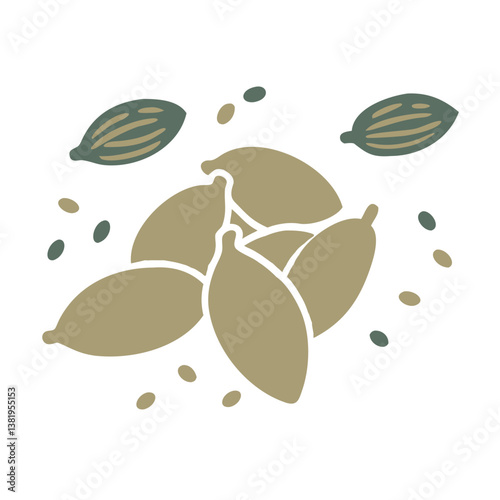 Cardamom Pods and Seeds Vector Illustration