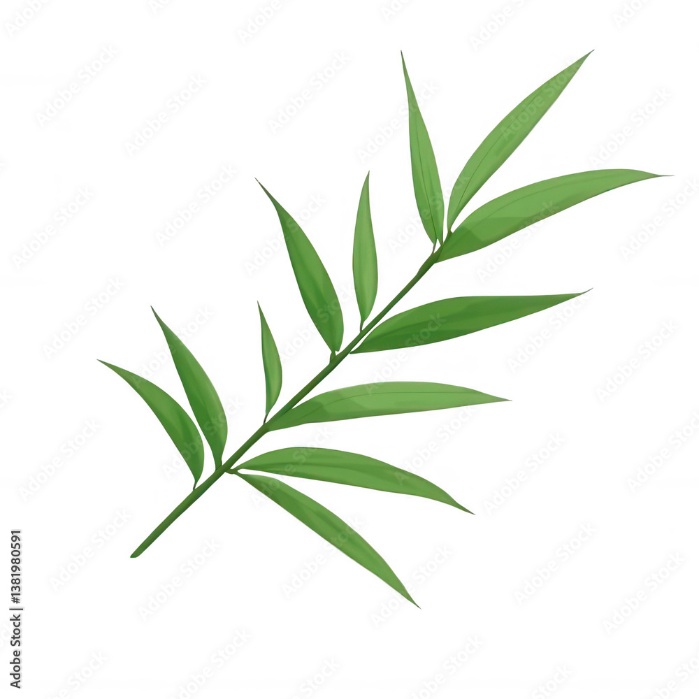 Fototapeta premium Simple Bamboo Leaf for Eco-Friendly Product Design Transparent Background