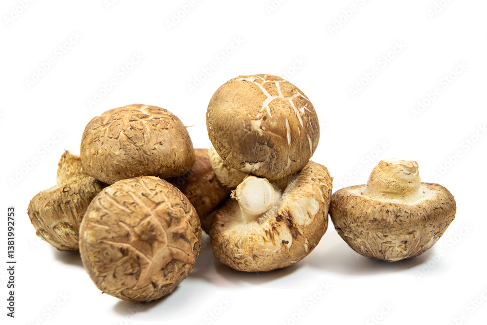 Raw shitake mushroom isolated on white background.
