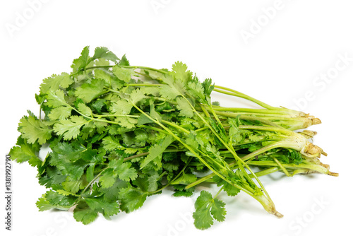 Obraz na płótnie Green and fresh coriander isolated w salonie