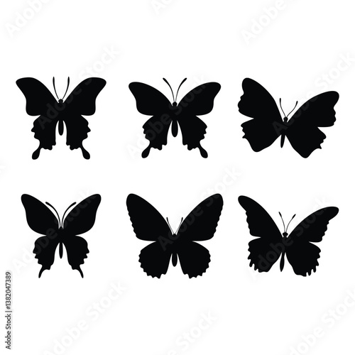 collection of butterflies