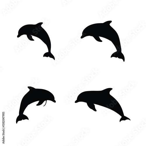 dolphin collection isolated on white