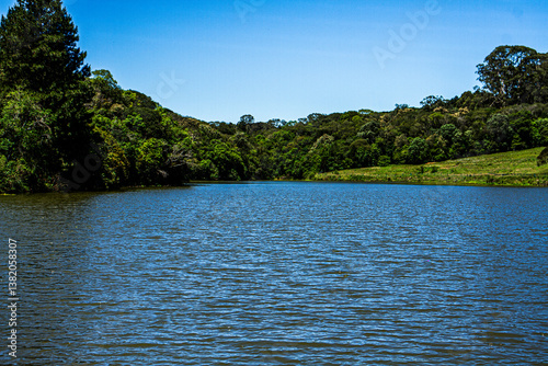 lake in the woods