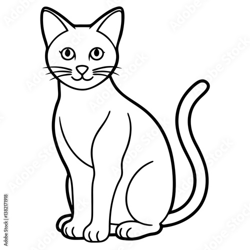 black and white cat