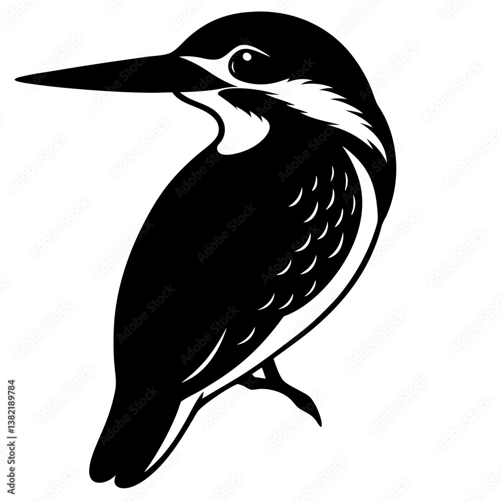 Fototapeta premium vector illustration of a bird