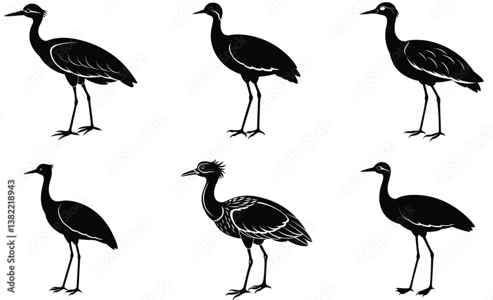 Obraz premium African jacana animal bird silhouette black vector art set design 