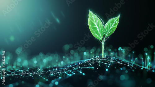 Digital Sprout: A vibrant d...