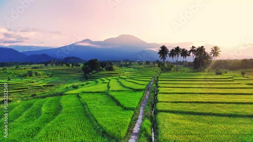 beautiful morning view indonesia panorama landscape paddy fields with beauty color and sky natural light