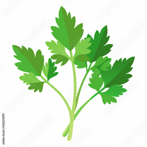 fresh parsley isolated on white