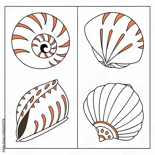 vector illustration of seashell
