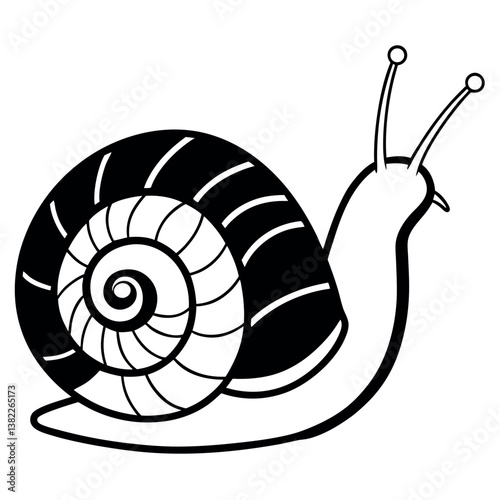 snail coloring-book-illustration contours 