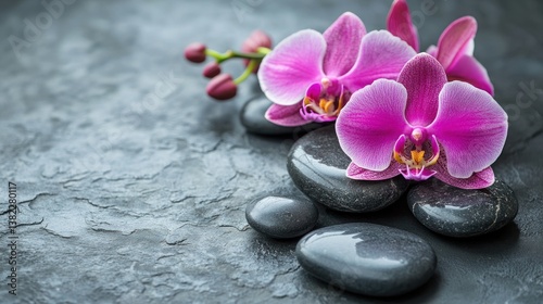 Beautiful purple orchids rest gracefully on smooth dark stones
