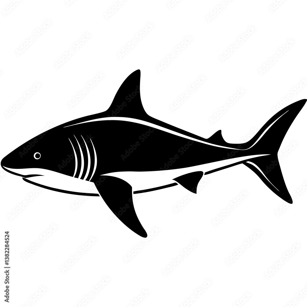 Fototapeta premium shark vector illustration
