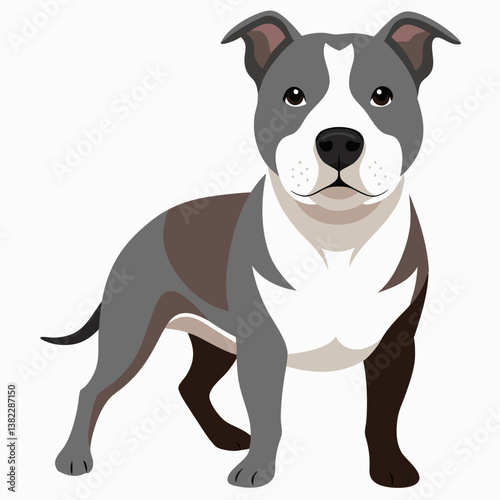 jack russell terrier puppy