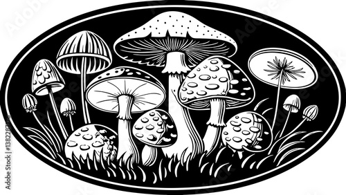 mushrooms