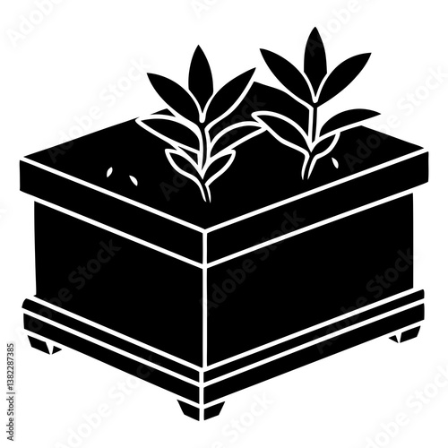 green plant in a box