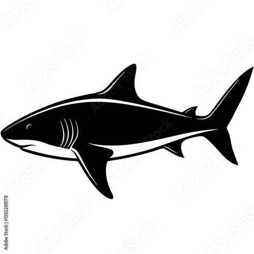 shark vector illustration