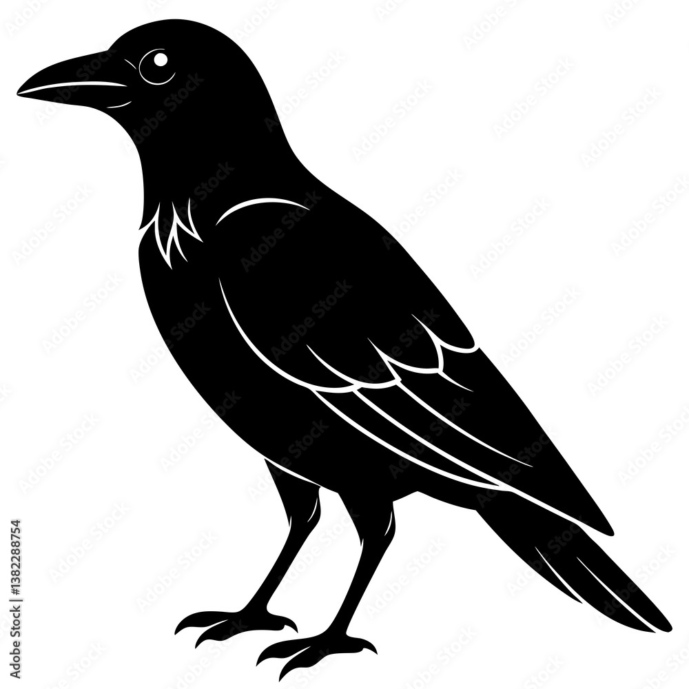 Fototapeta premium crow on white background