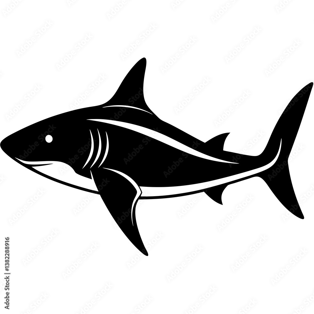 Fototapeta premium shark vector illustration