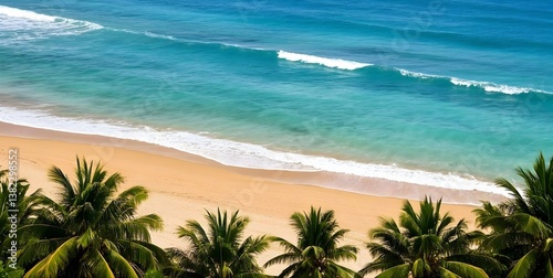 tropical beach with palm trees