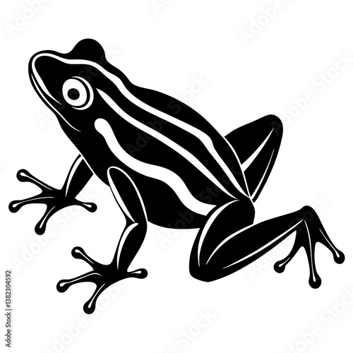 frog on white background
