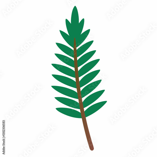 green fern isolated on white