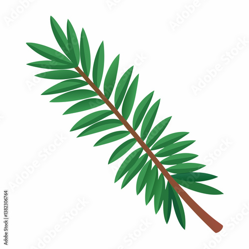 pine branch with cones